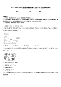 2023-2024学年山西省忻州市物理八上期末复习检测模拟试题含答案