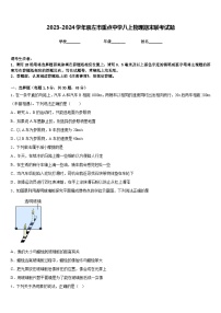 2023-2024学年崇左市重点中学八上物理期末联考试题含答案