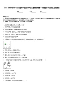 2023-2024学年广东汕尾甲子镇瀛江学校八年级物理第一学期期末学业质量监测试题含答案