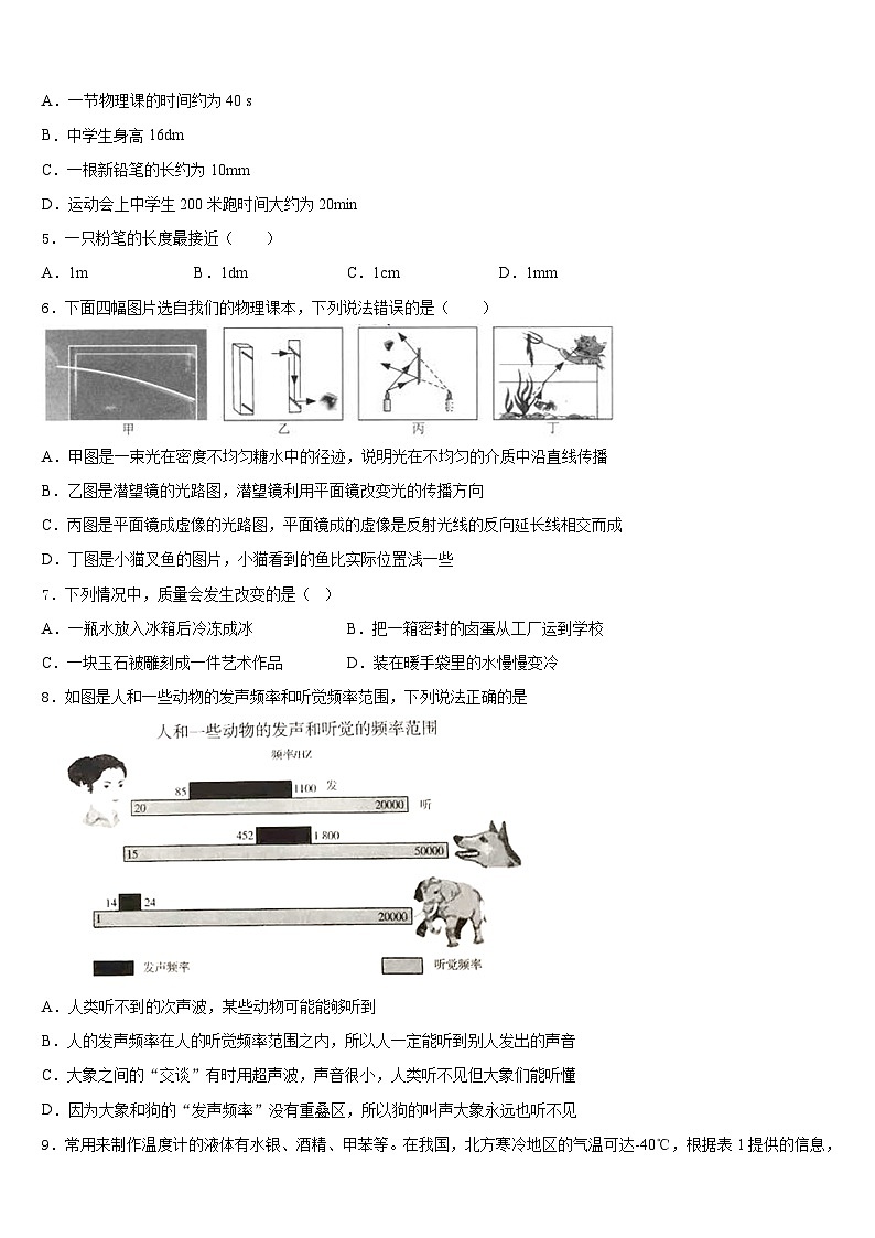 2023-2024学年广东汕尾甲子镇瀛江学校八年级物理第一学期期末学业质量监测试题含答案02