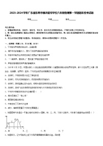 2023-2024学年广东省东莞市横沥爱华学校八年级物理第一学期期末统考试题含答案