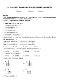 2023-2024学年广东省东莞市中学堂六校物理八上期末综合测试模拟试题含答案