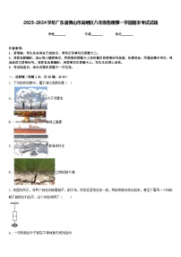 2023-2024学年广东省佛山市高明区八年级物理第一学期期末考试试题含答案