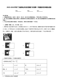 2023-2024学年广东省佛山市名校物理八年级第一学期期末统考模拟试题含答案