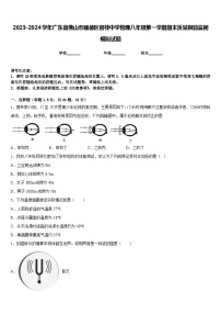 2023-2024学年广东省佛山市顺德区容桂中学物理八年级第一学期期末质量跟踪监视模拟试题含答案