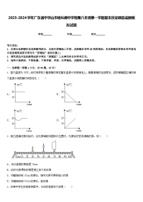 2023-2024学年广东省中学山市杨仙逸中学物理八年级第一学期期末质量跟踪监视模拟试题含答案