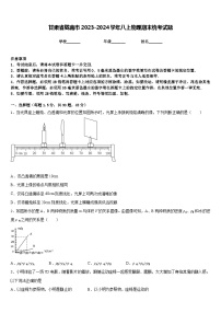 甘肃省陇南市2023-2024学年八上物理期末统考试题含答案