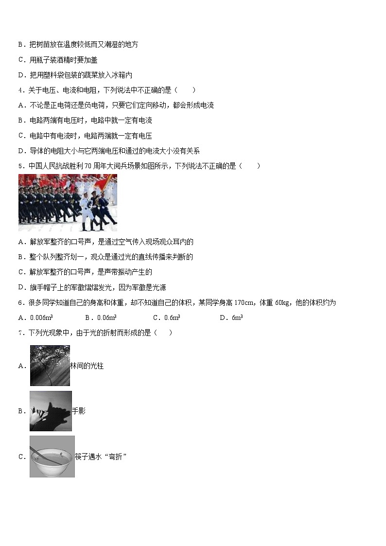 2023-2024学年广东省广外大附中八上物理期末检测模拟试题含答案第2页