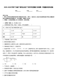 2023-2024学年广东省广州市白云区广外外学校物理八年级第一学期期末统考试题含答案