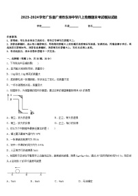 2023-2024学年广东省广州市东环中学八上物理期末考试模拟试题含答案