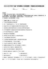 2023-2024学年广东省广州市番禺区八年级物理第一学期期末达标检测模拟试题含答案