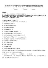 2023-2024学年广东省广州市广州中学八上物理期末教学质量检测模拟试题含答案