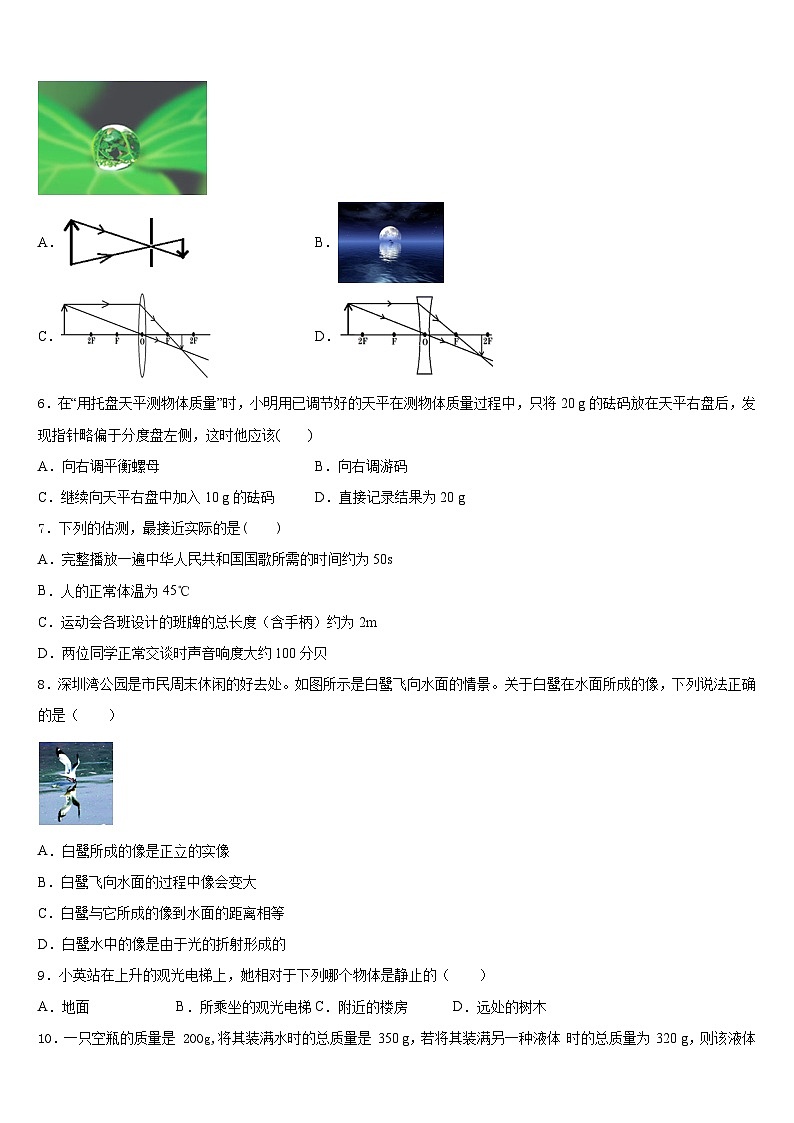 2023-2024学年广东省横沥中学物理八上期末达标检测试题含答案02