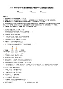 2023-2024学年广东省惠州惠阳区六校联考八上物理期末经典试题含答案