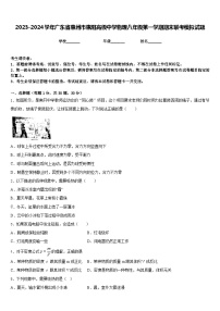 2023-2024学年广东省惠州市惠阳高级中学物理八年级第一学期期末联考模拟试题含答案