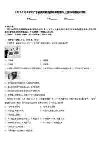 2023-2024学年广东省揭阳揭西县联考物理八上期末调研模拟试题含答案