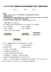 2023-2024学年广东省揭阳市空港经济区砲台镇物理八年级第一学期期末统考试题含答案