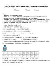 2023-2024学年广东省汕头市潮阳区铜盂镇八年级物理第一学期期末预测试题含答案