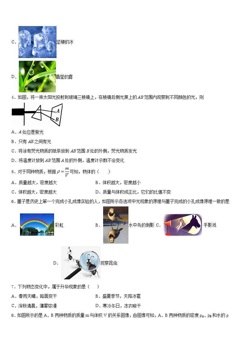 2023-2024学年广东省揭阳市普宁市普宁市占陇华南学校物理八上期末考试试题含答案第2页