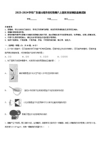 2023-2024学年广东省汕尾市名校物理八上期末质量跟踪监视试题含答案