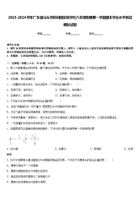 2023-2024学年广东省汕头市科利园实验学校八年级物理第一学期期末学业水平测试模拟试题含答案