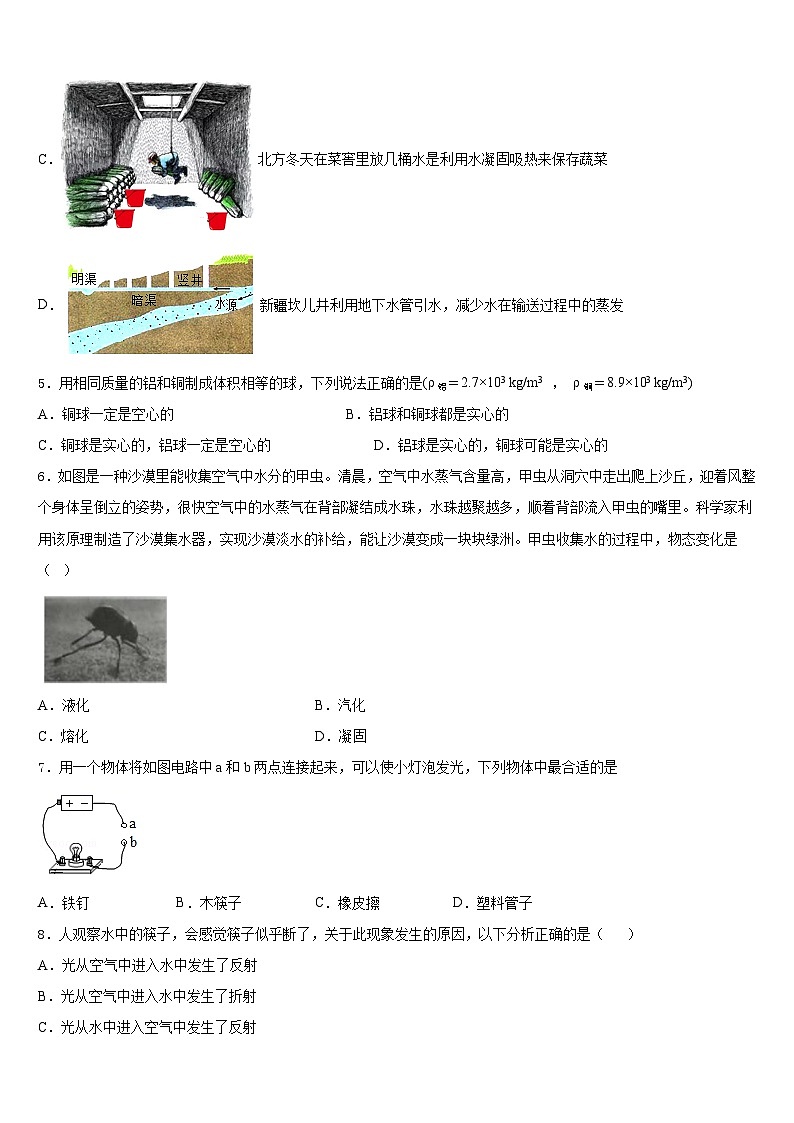 2023-2024学年广东省河源市东源县八上物理期末检测模拟试题含答案02