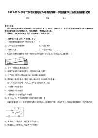 2023-2024学年广东省茂名地区八年级物理第一学期期末学业质量监测模拟试题含答案