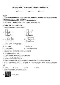 2023-2024学年广东省茂名市八上物理期末监测模拟试题含答案