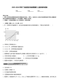 2023-2024学年广东省茂名市高州物理八上期末联考试题含答案