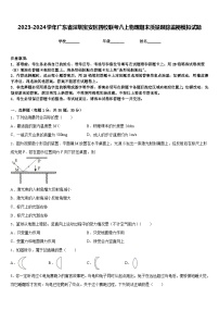 2023-2024学年广东省深圳宝安区四校联考八上物理期末质量跟踪监视模拟试题含答案