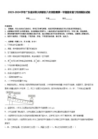 2023-2024学年广东省深圳大鹏新区八年级物理第一学期期末复习检测模拟试题含答案