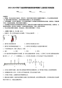 2023-2024学年广东省深圳罗湖区四校联考物理八上期末复习检测试题含答案