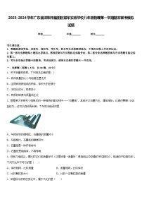 2023-2024学年广东省深圳市福田区耀华实验学校八年级物理第一学期期末联考模拟试题含答案