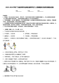 2023-2024学年广东省深圳市龙岗区德琳学校八上物理期末质量检测模拟试题含答案