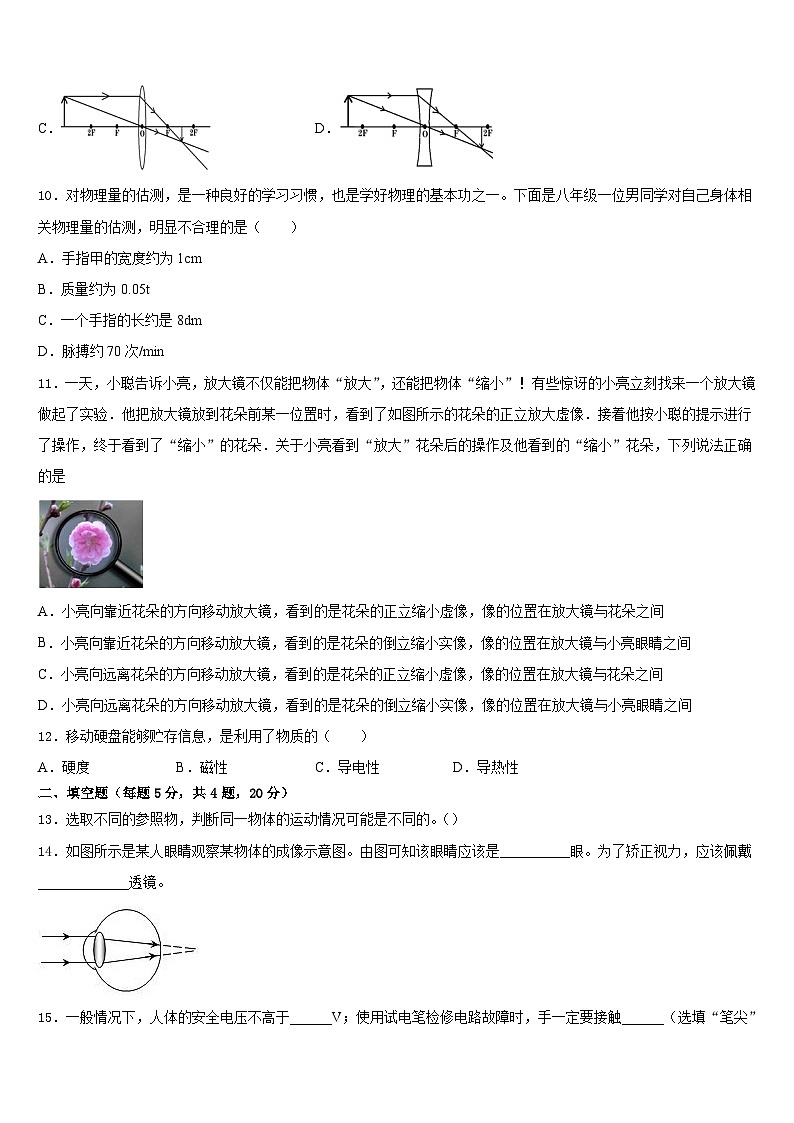 2023-2024学年广东省深圳市罗芳中学八上物理期末经典模拟试题含答案03