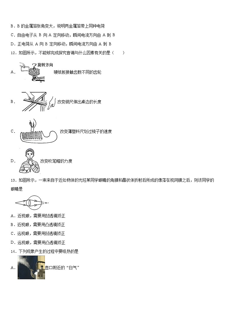 2023-2024学年广东省深圳市龙华区物理八年级第一学期期末综合测试模拟试题含答案第3页