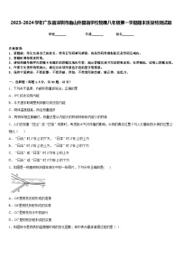 2023-2024学年广东省深圳市南山外国语学校物理八年级第一学期期末质量检测试题含答案