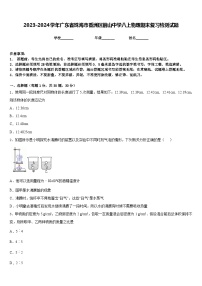 2023-2024学年广东省珠海市香洲区前山中学八上物理期末复习检测试题含答案