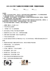 2023-2024学年广东省肇庆市封开县物理八年级第一学期期末检测试题含答案