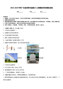 2023-2024学年广东省深圳市盐田区八上物理期末检测模拟试题含答案