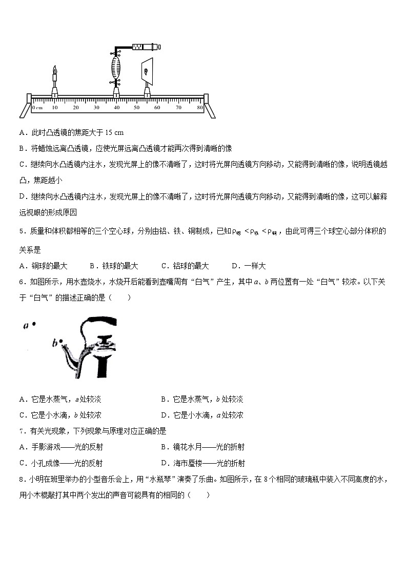 2023-2024学年广东省深圳市盐田区八上物理期末检测模拟试题含答案第2页