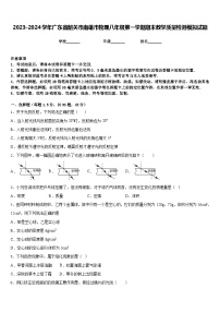 2023-2024学年广东省韶关市南雄市物理八年级第一学期期末教学质量检测模拟试题含答案