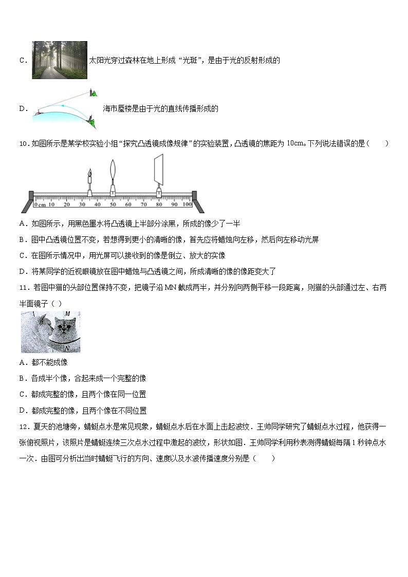 2023-2024学年广东省阳江市东平中学物理八上期末教学质量检测试题含答案第3页