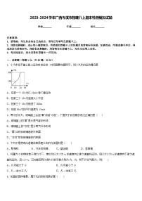 2023-2024学年广西岑溪市物理八上期末检测模拟试题含答案