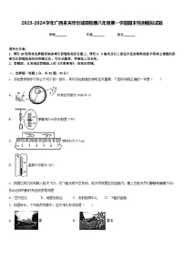 2023-2024学年广西来宾市忻城县物理八年级第一学期期末检测模拟试题含答案