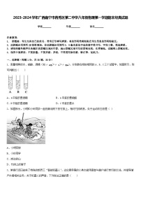 2023-2024学年广西南宁市青秀区第二中学八年级物理第一学期期末经典试题含答案