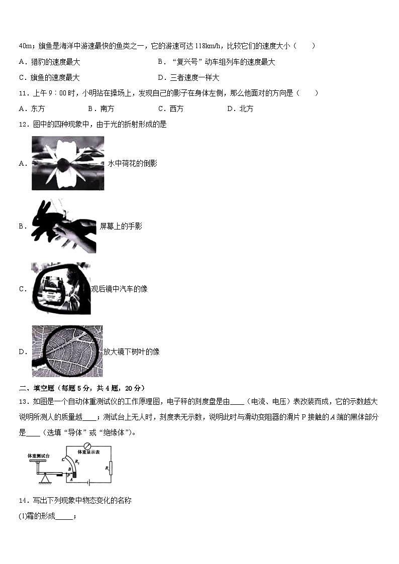 2023-2024学年广西昭平县八上物理期末学业质量监测模拟试题含答案第3页