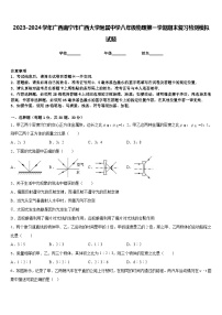 2023-2024学年广西南宁市广西大学附属中学八年级物理第一学期期末复习检测模拟试题含答案