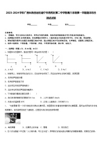 2023-2024学年广西壮族自治区南宁市青秀区第二中学物理八年级第一学期期末综合测试试题含答案