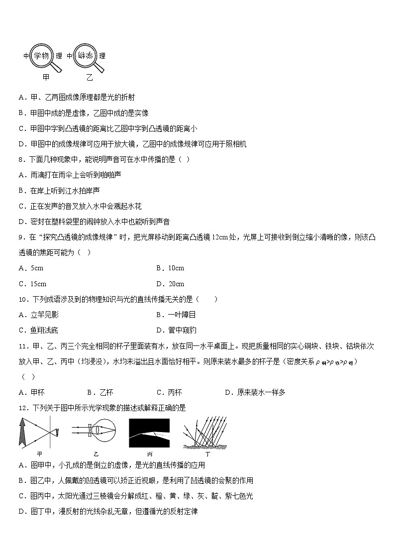 2023-2024学年广西岳池县八年级物理第一学期期末质量跟踪监视试题含答案第3页